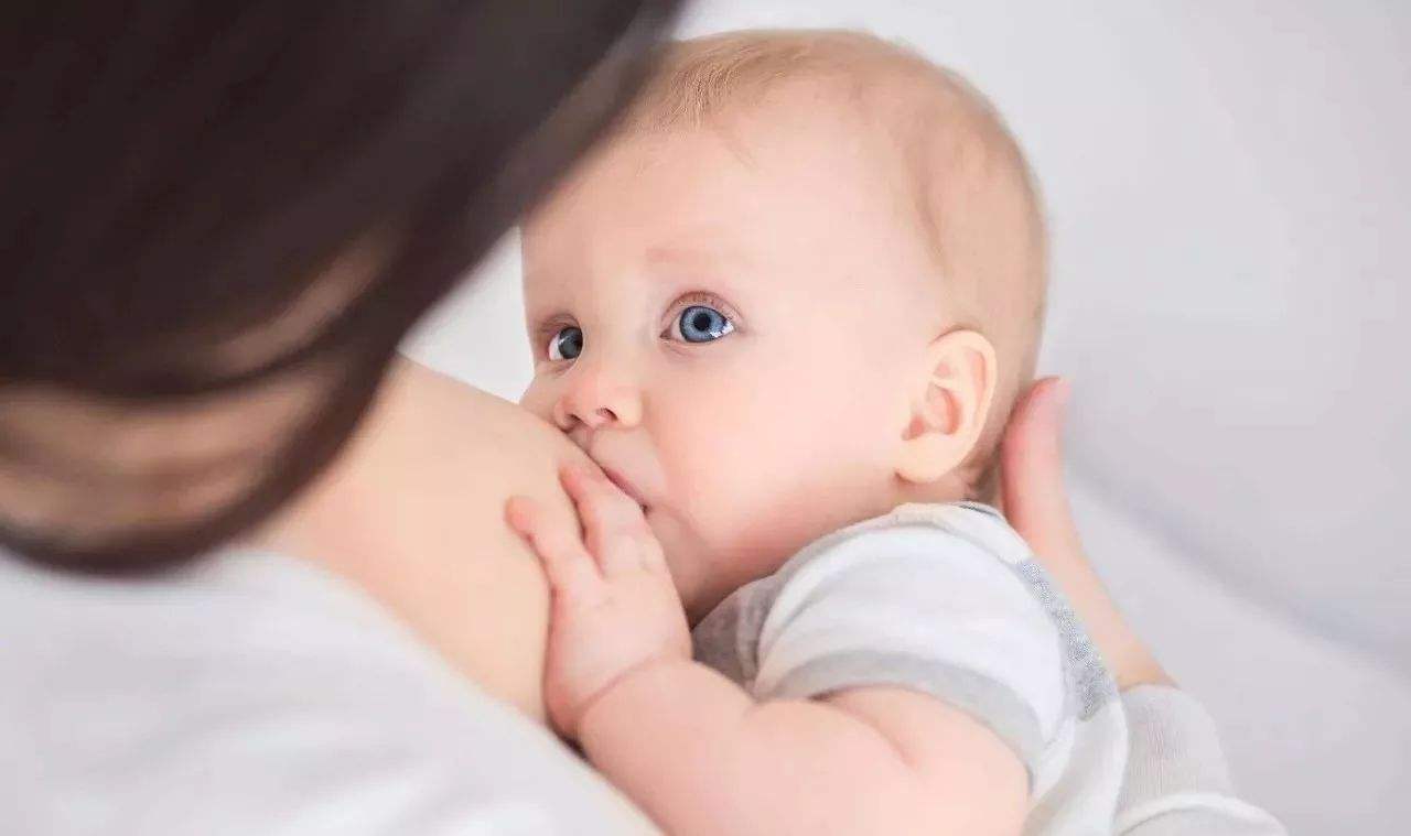 草莓视频污版下载之母乳喂養的科學性體現在哪些