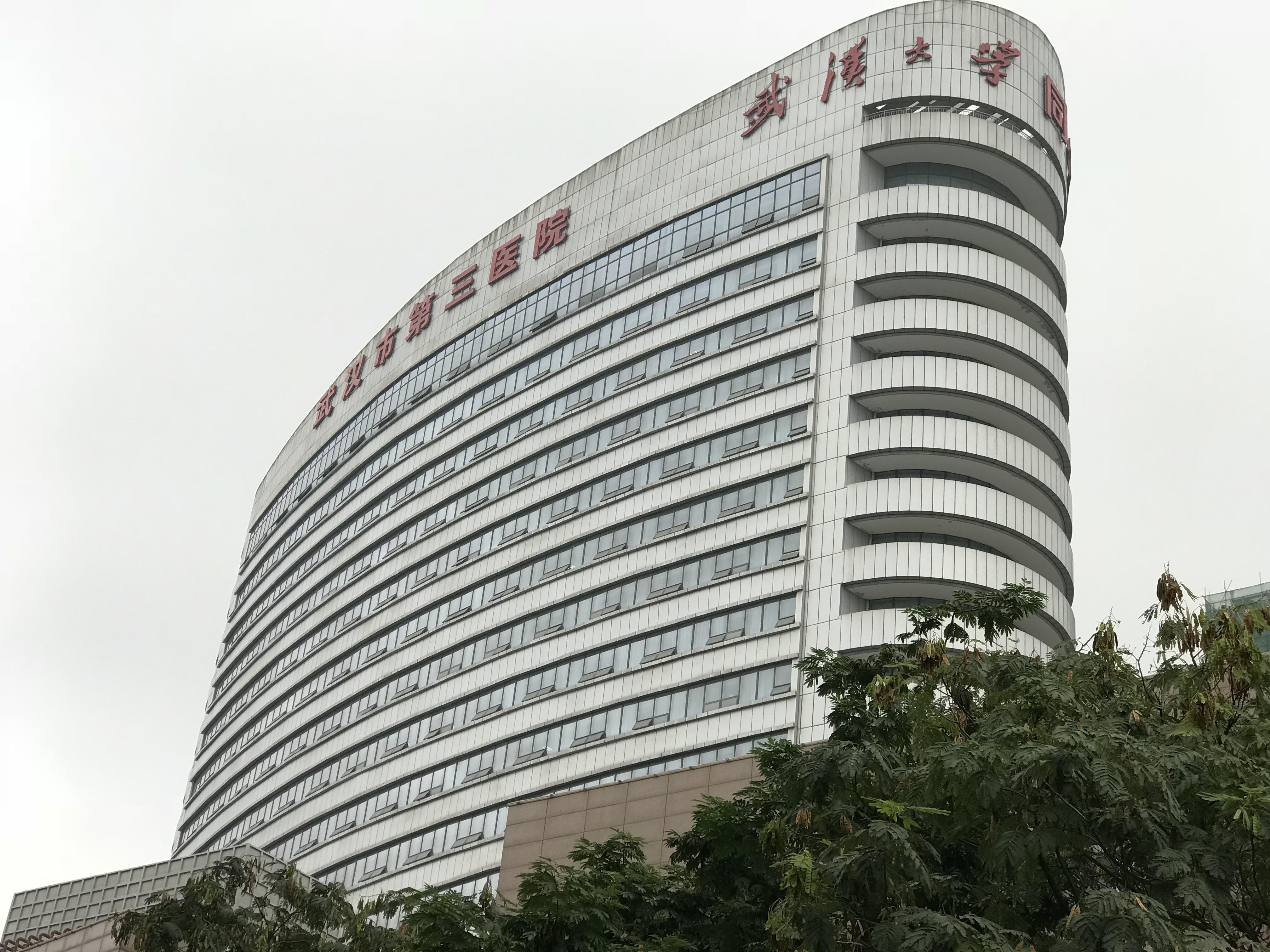 山東草莓视频APP成人下载草莓视频ABB黄片合作單位武漢市第三醫院 山東草莓视频APP成人下载草莓视频ABB黄片合作單位武漢市第三醫院