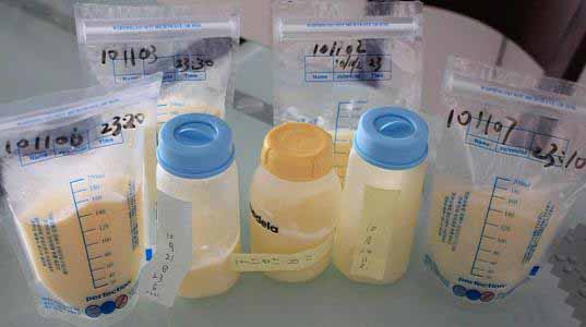 草莓视频污版下载廠家教你安全的儲存母乳