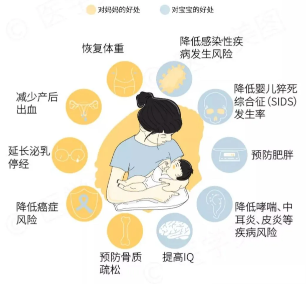 草莓视频ABB黄片