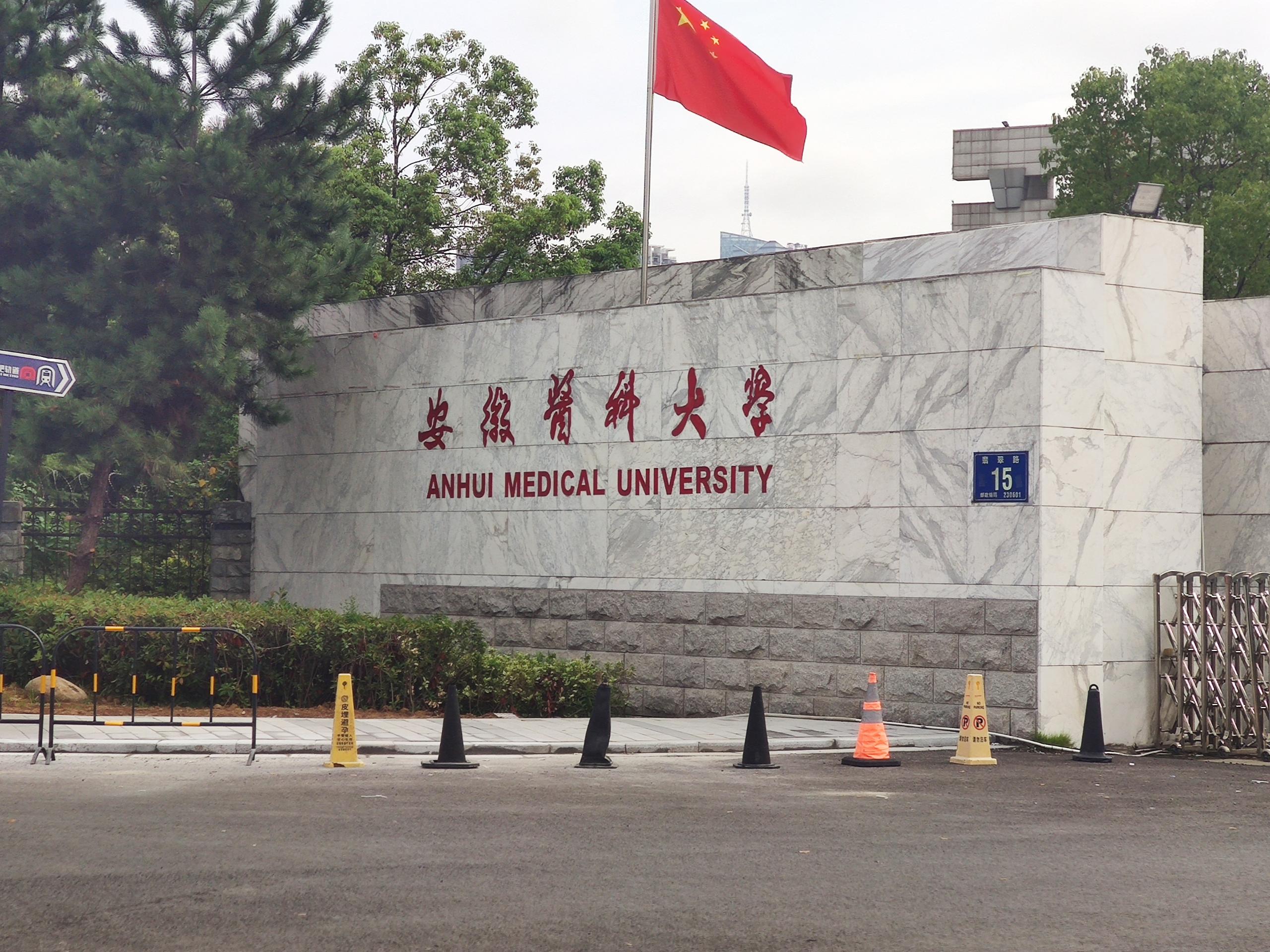 ​安徽醫科大學引進新技術：草莓视频ABB黄片，科學助力母乳喂養！